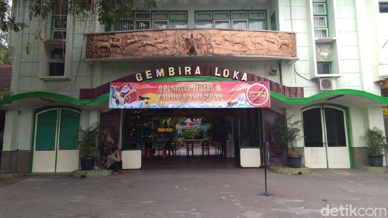 Wisata di Gembira Loka Zoo, Cocok untuk Liburan 17 Agustus/Foto: Usman Hadi/detikcom Wisata di Gembira Loka Zoo, Cocok untuk Liburan 17 Agustus/Foto: Usman Hadi/detikcom