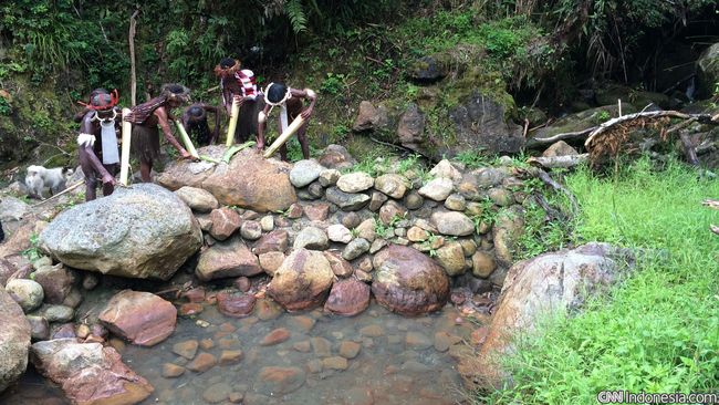 Tradisi Berburu dan Pasar Hewan Endemik di Papua