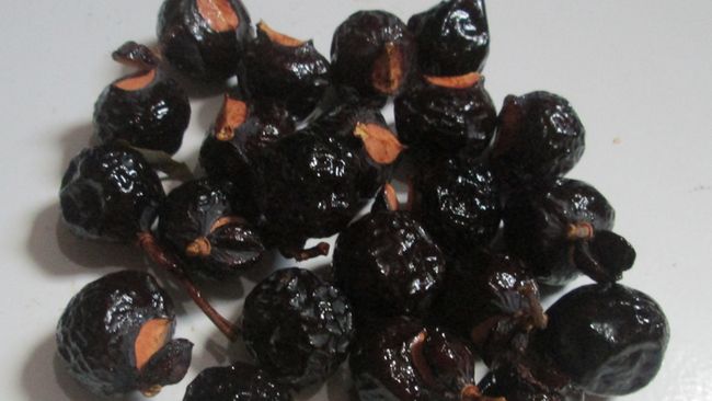 Buah Lerak, Si Buah Banyak Manfaat