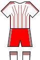 Team colours