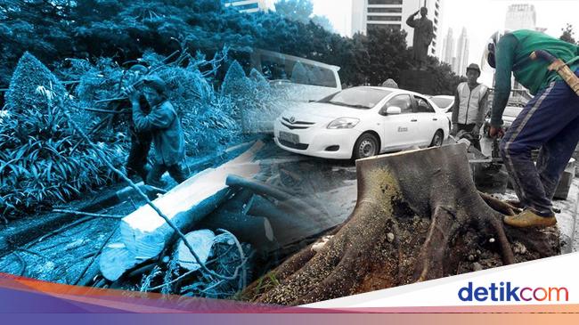 Hujan Deras Disertai Angin Kencang, 5 Pohon Tumbang di Jakarta