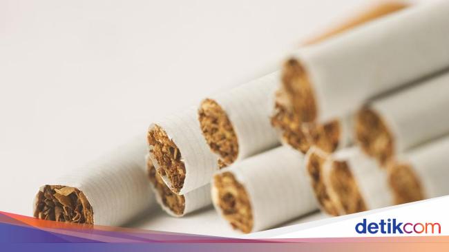 Pengumuman! Cukai Rokok Naik 10% Tahun Depan