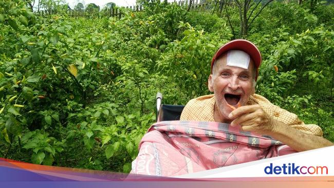 Paul Cumming dari Lapangan Hijau ke Kebun Cabai