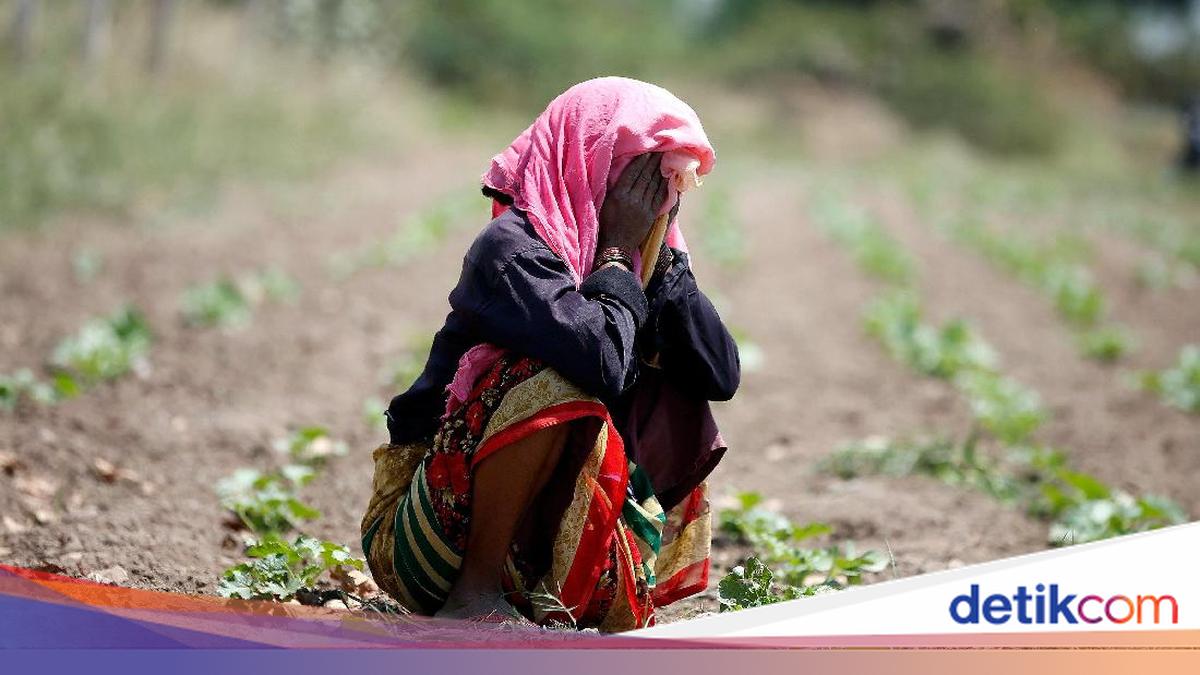 Ilmuwan Peringatkan Super El Nino Ancam 'Panggang' Bumi Tahun Ini