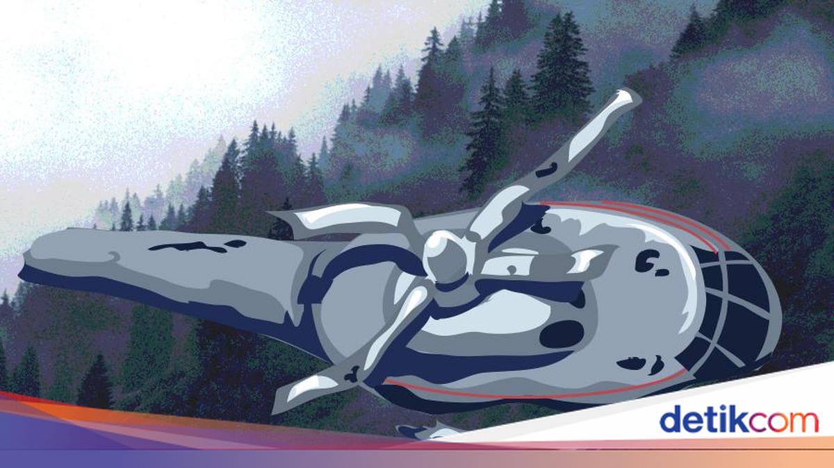 Heli PK-CFX Jatuh di Kalbar, Kemenhub Sebut Sempat Kirim Sinyal Darurat