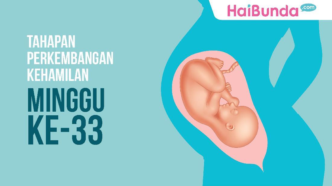 Tahapan Perkembangan Janin Minggu Ke 33