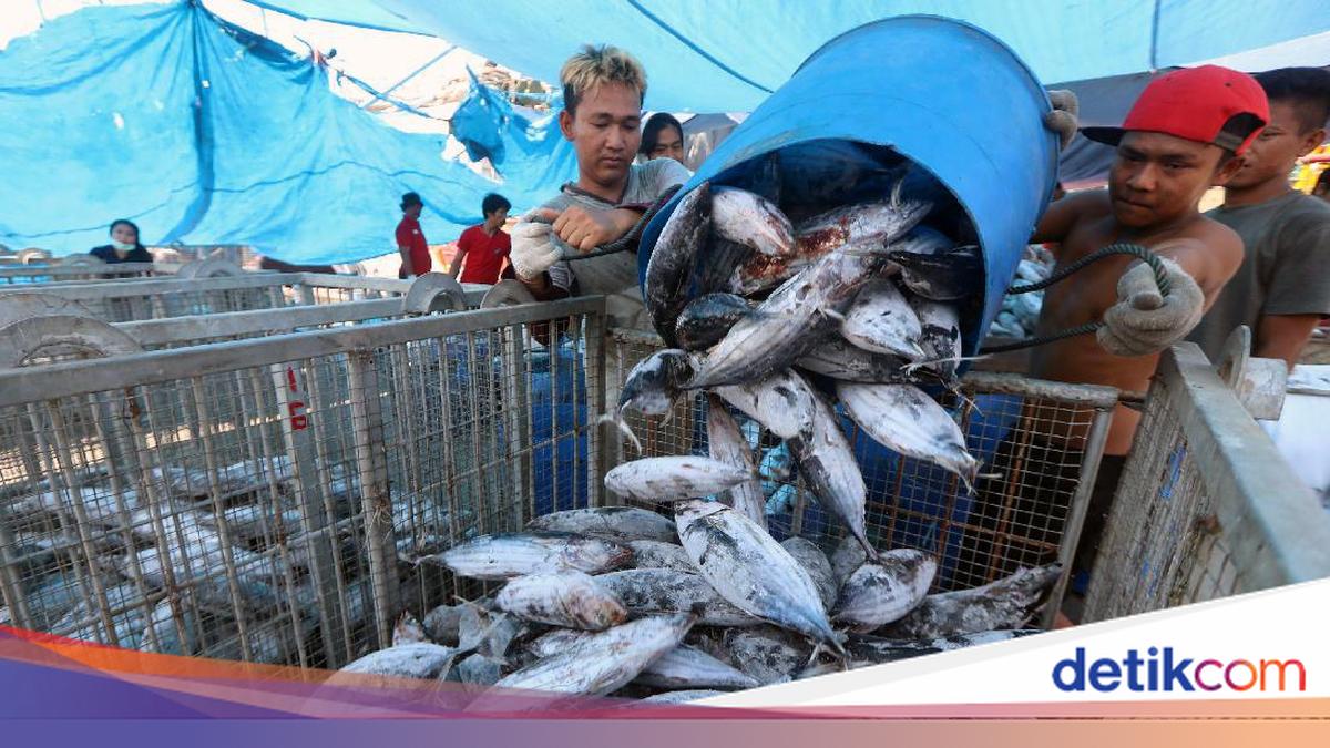Ekspor Produk Perikanan RI Capai Rp 107 T Sepanjang 2025