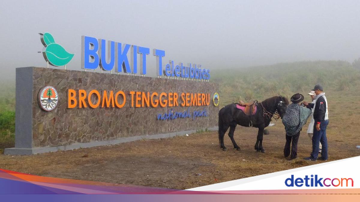Bromo-Komodo-Rinjani Jadi BLU – Kemandirian Fiskal Kawasan Konservasi