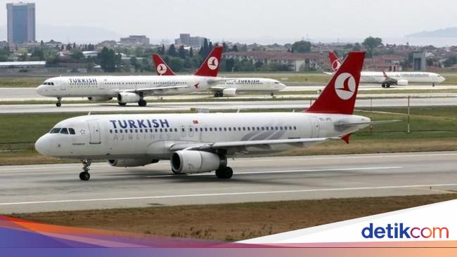 Rekan Sebut WNI Ngamuk di Turkish Airlines Gegara Dijilat Anjing