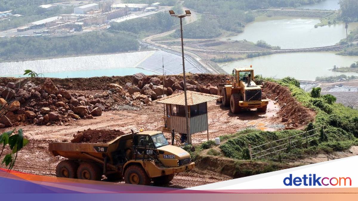 Penambangan Emas di Jawa Timur, Ini Daerah dan Potensi Cadangannya