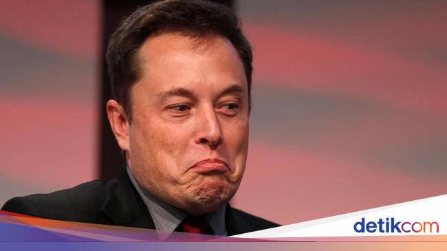 Hard Work Like A Horse Ala Elon Musk