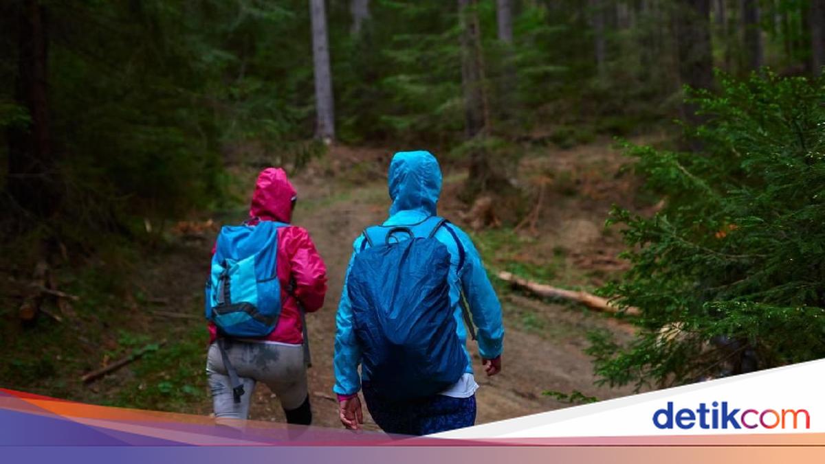 Mahasiswa ITB Dilaporkan Hilang Saat Turun dari Gunung Puntang