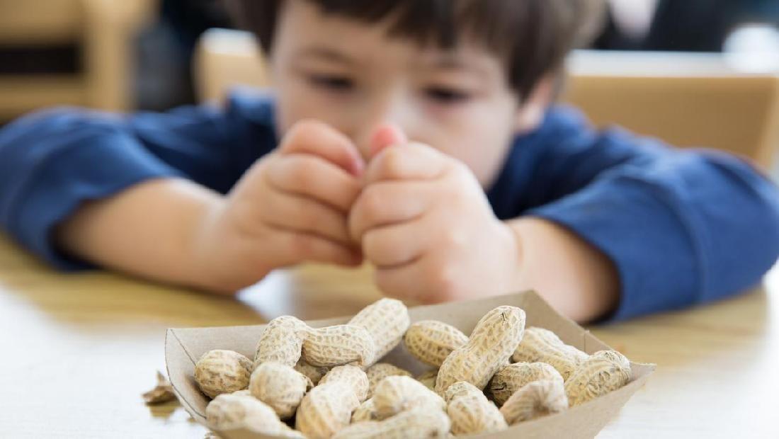 Makan Kacang Selama Hamil Bisa Sebabkan Bayi Alergi