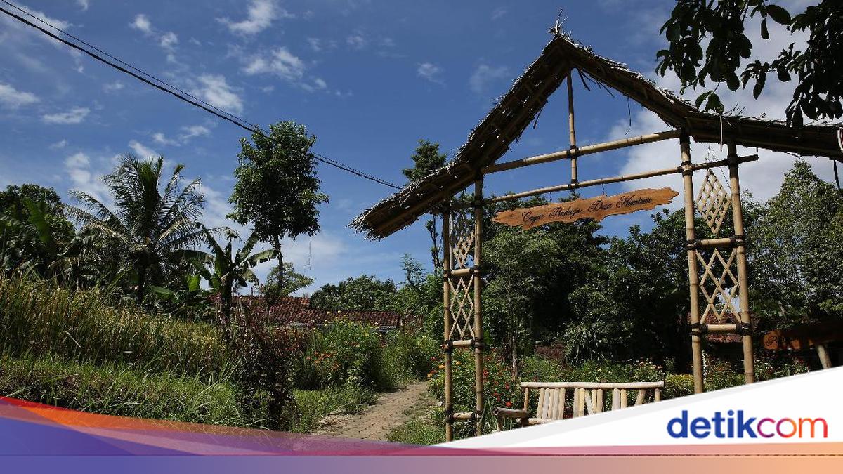 Ijen Masih Tutup, Ini 6 Wisata Banyuwangi yang Bisa Jadi Alternatif