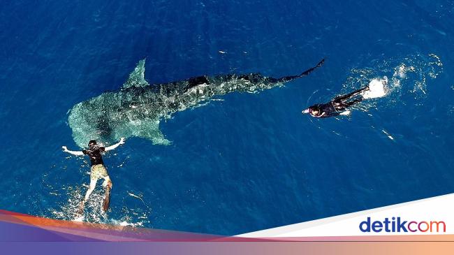 Doa Nabi Yunus Dalam Perut Ikan Paus Untuk Keluar Dari