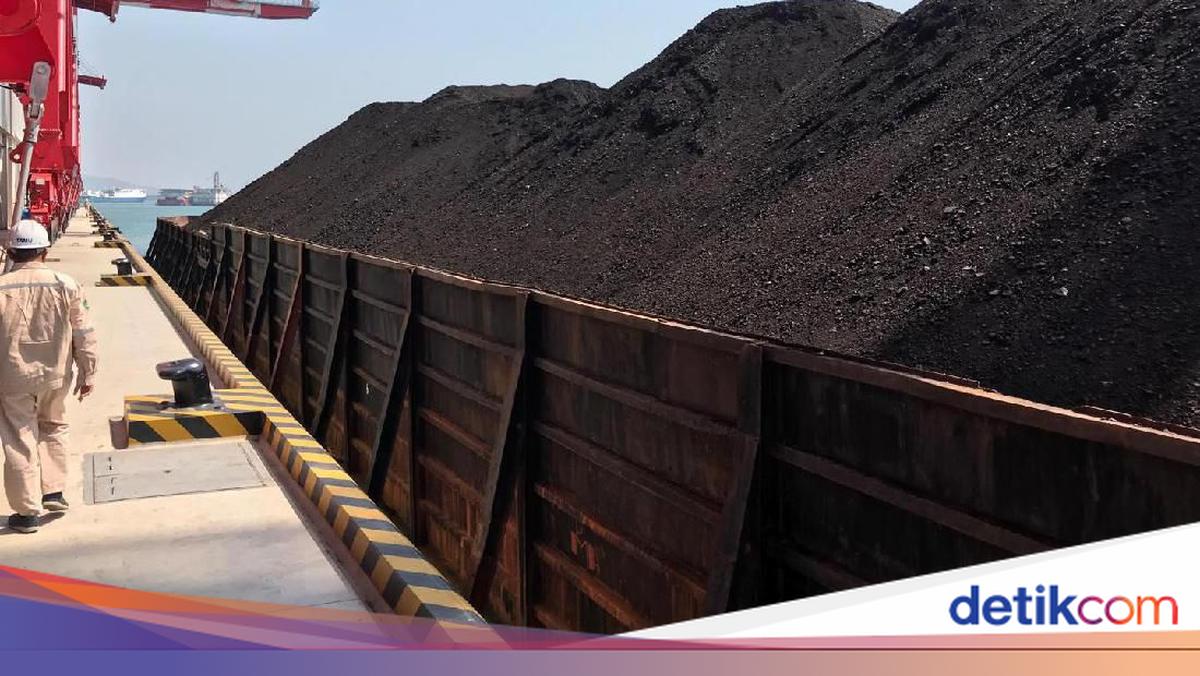 PLN Amankan 141 Juta Ton Batu Bara – Ekspor Sempat Ditahan