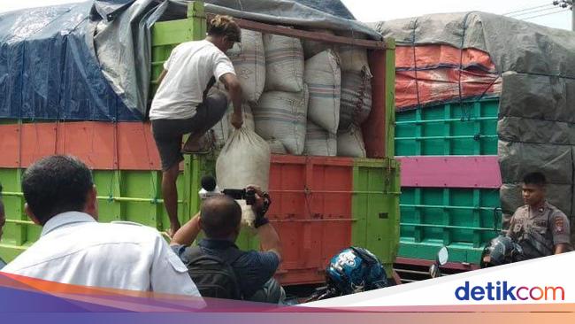 Mengenal Daun Kratom, Tanaman yang Dilarang di Indonesia