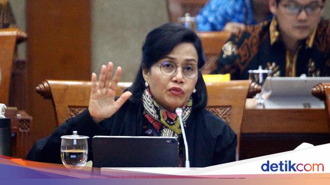 Kala Sri Mulyani Bandingkan Ekonomi RI dengan India, Siapa Juaranya?