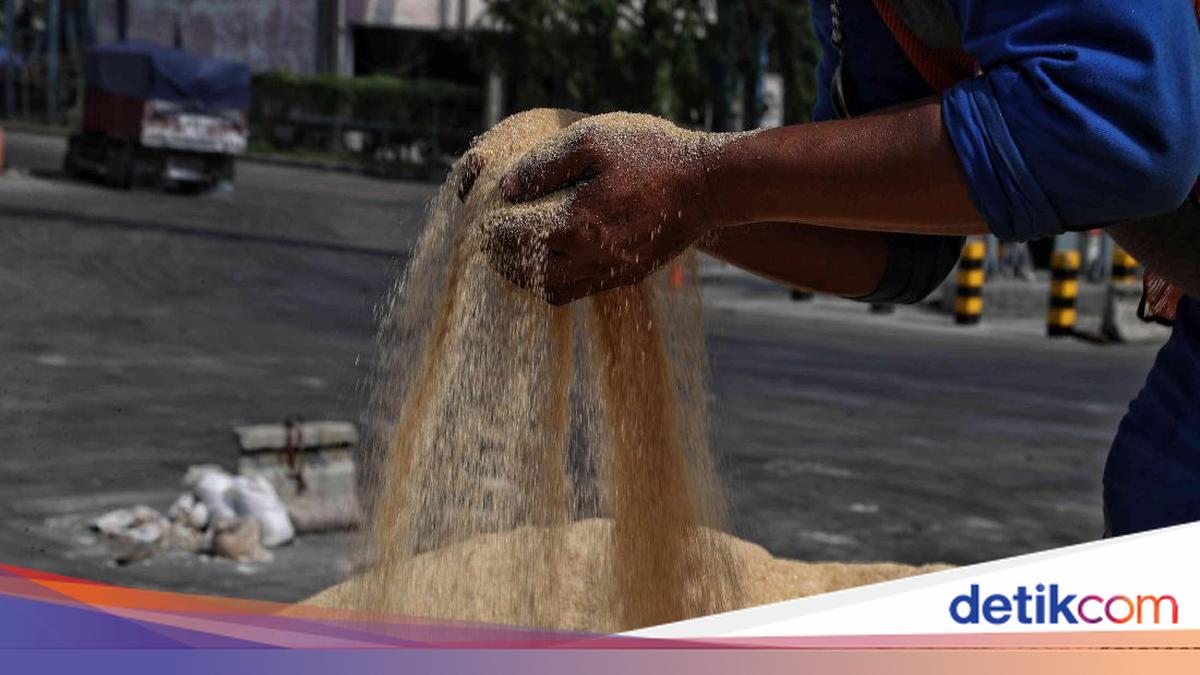 Petani Tebu Soroti Tata Kelola Impor Gula, Sarankan Hal Ini ke Pemerintah