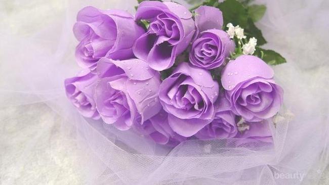 Kenali Makna Bunga Mawar Berdasarkan Warnanya (Bagian 2)