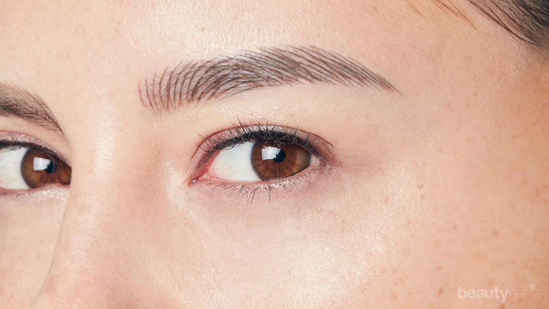 Forum Ada Yang Belum Tau Cara Menentukan Warna Alis Intip Disini Yuk