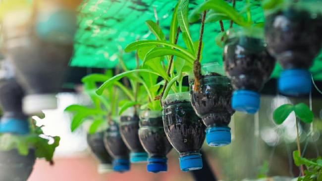 5 Ide Kerajinan Tangan Dari Botol Plastik Bekas Bisa Bunda Buat Di Rumah