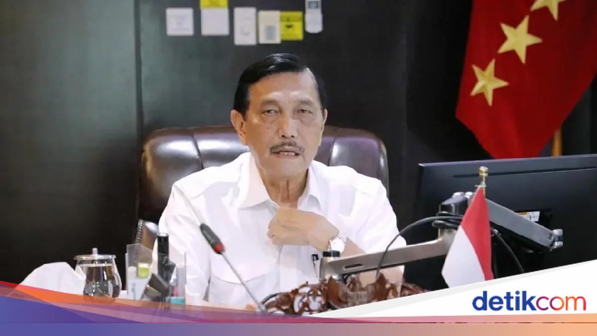 Luhut Minta Maaf ke Investor Global
