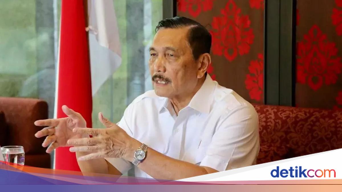 Saat Luhut Minta Maaf ke Investor Global