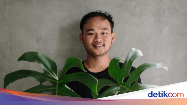 Anak Milenial Petani Monstera