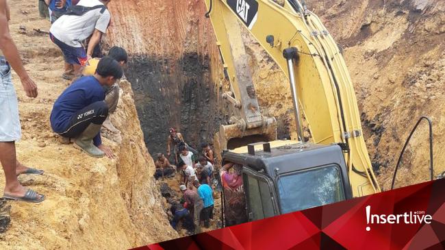 Tak Cuma Dunia Hiburan, Ini 4 Artis RI yang Berbisnis Tambang Batu Bara