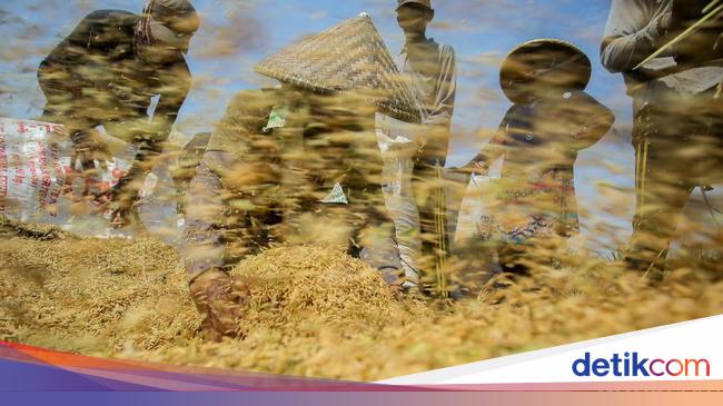 Pemerintah Siapkan Jurus Ini Genjot Ekonomi Warga Desa di Timur RI