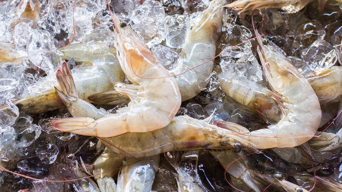 7 Cara Tepat Membersihkan Udang Menurut Chef Arnold