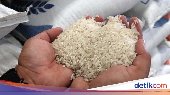 Pak Buwas, Pengusaha Kasih Jurus Ini buat Patahkan Aksi Mafia Beras