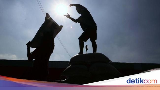 Kementan Target Produksi Beras Capai 54 Juta Ton di 2023