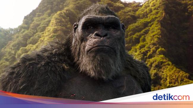 Godzilla x Kong, Tayang 2024