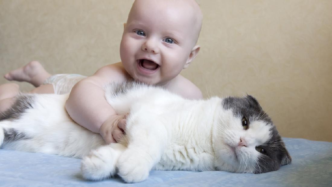 7 Pertolongan Pertama pada Bayi Digigit Kucing agar Tak Rabies