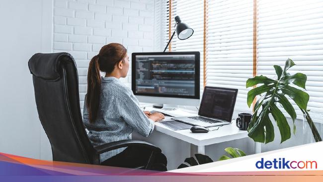 Programmer Jadi Barang Langka di RI, Segini Gaji dan Biaya Kuliahnya