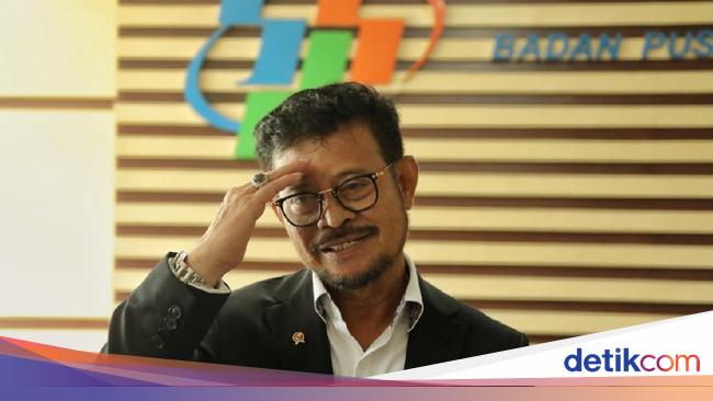 Mentan Wira-wiri Pantau Panen Raya, Pasokan Beras Jelang Puasa Aman?