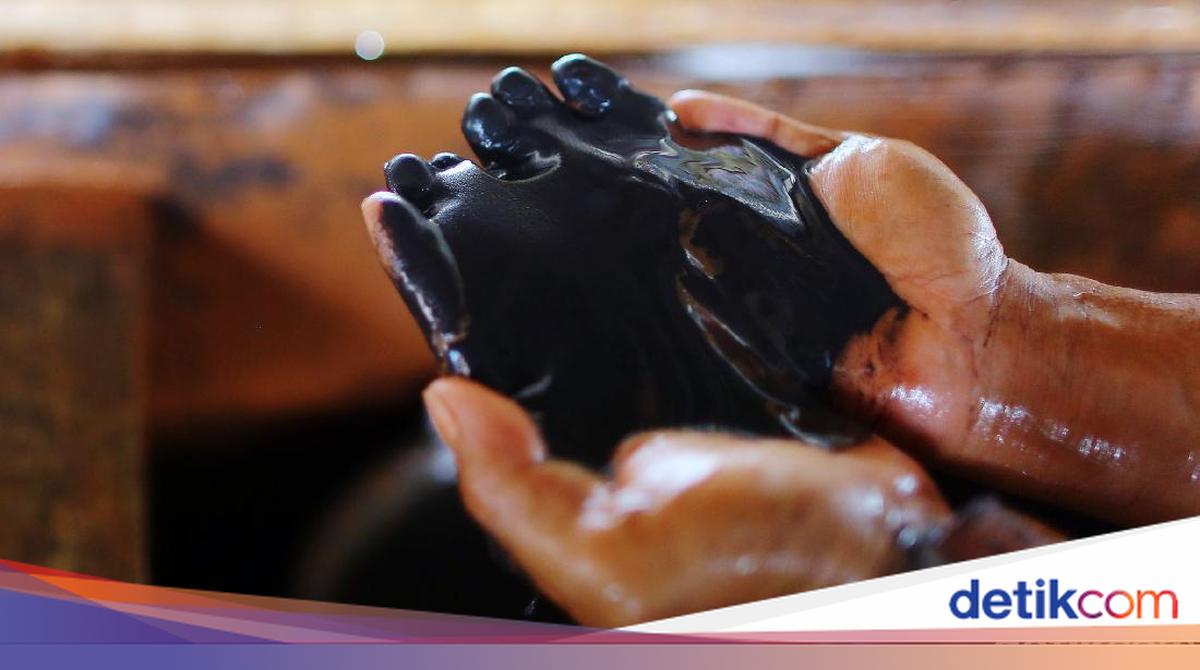 Harta Karun Incaran Dunia Ternyata Ada di Mamuju!