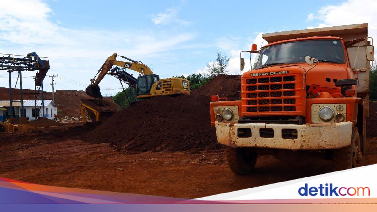 Harta Karun Paling Dicari Dunia Ada di Sulawesi Barat, Segini Banyaknya
