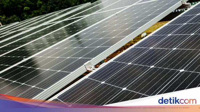 RI Bakal Punya Pabrik Panel Surya, Bangunnya Bareng Singapura