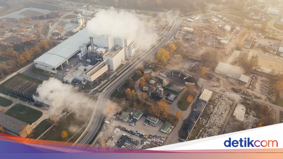 Pasar Karbon RI: Investasi Rp 200 Juta Janjikan Rp 1,5 Miliar — Tapi Ada Gap Harga