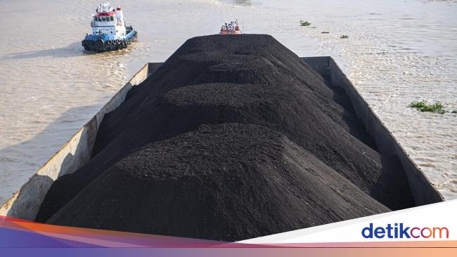 Ormas Keagamaan Diprioritaskan Urus Tambang Batu Bara, Ini Alasannya