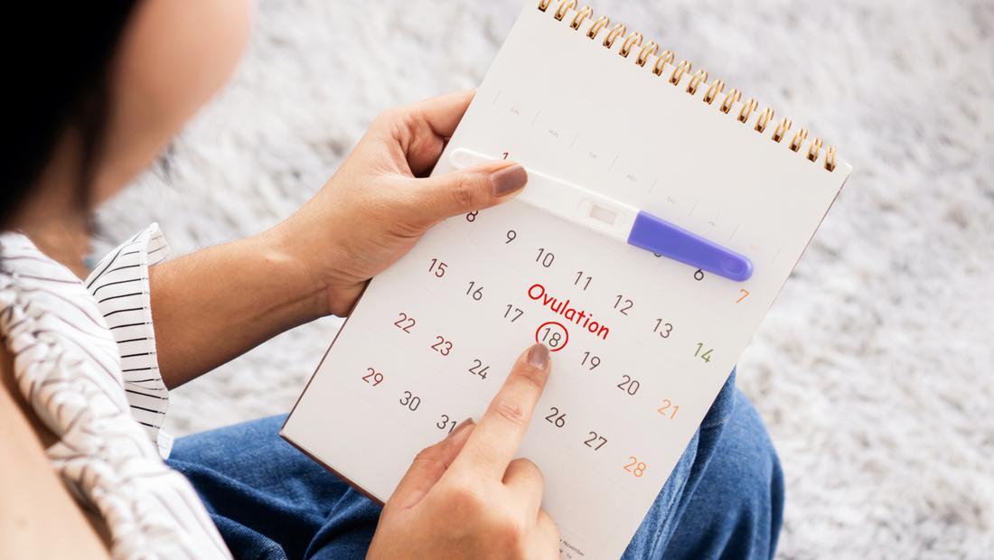 Kalender cina kehamilan tahun 2022