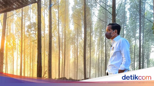 Langkah Seribu Jokowi Wujudkan Mega Proyek IKN di Sepanjang 2022