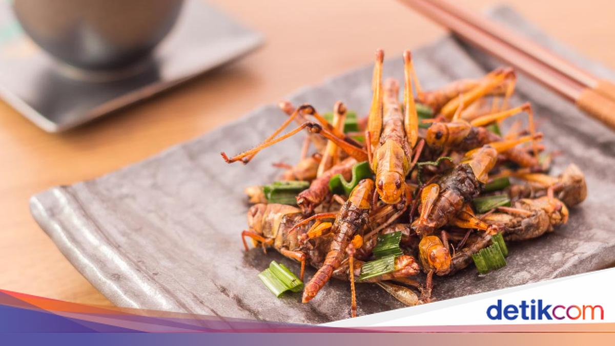 Harga Mahal Jadi Dalih Bakul Walang Goreng Ganjal Toples Pakai Kardus