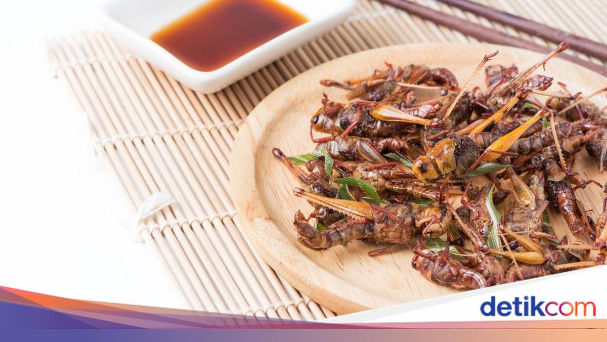 Alasan Bakul Walang Goreng di Gunungkidul Ganjal Toples Pakai Kardus