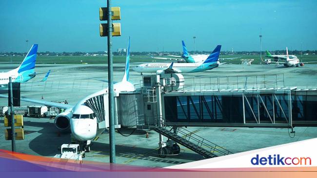 Kisah Viral Bawa Bika Ambon Didenda Rp 2 Juta hingga Bos Garuda Buka Suara