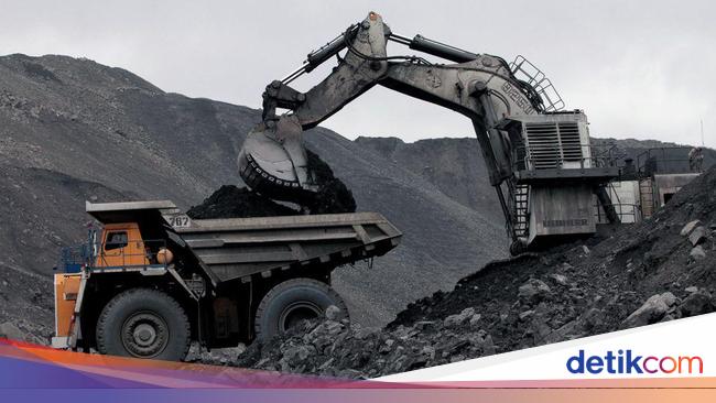 Ternyata Ini yang Jadi Biang Kerok Harga Batu Bara Anjlok