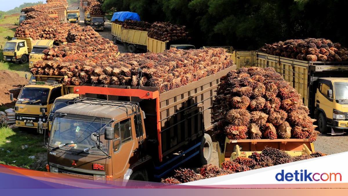 GAPKI Dorong Mekanisasi Sawit Lewat Konsorsium — Regenerasi SDM Jadi Prioritas